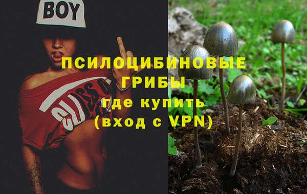 мескалин Елабуга